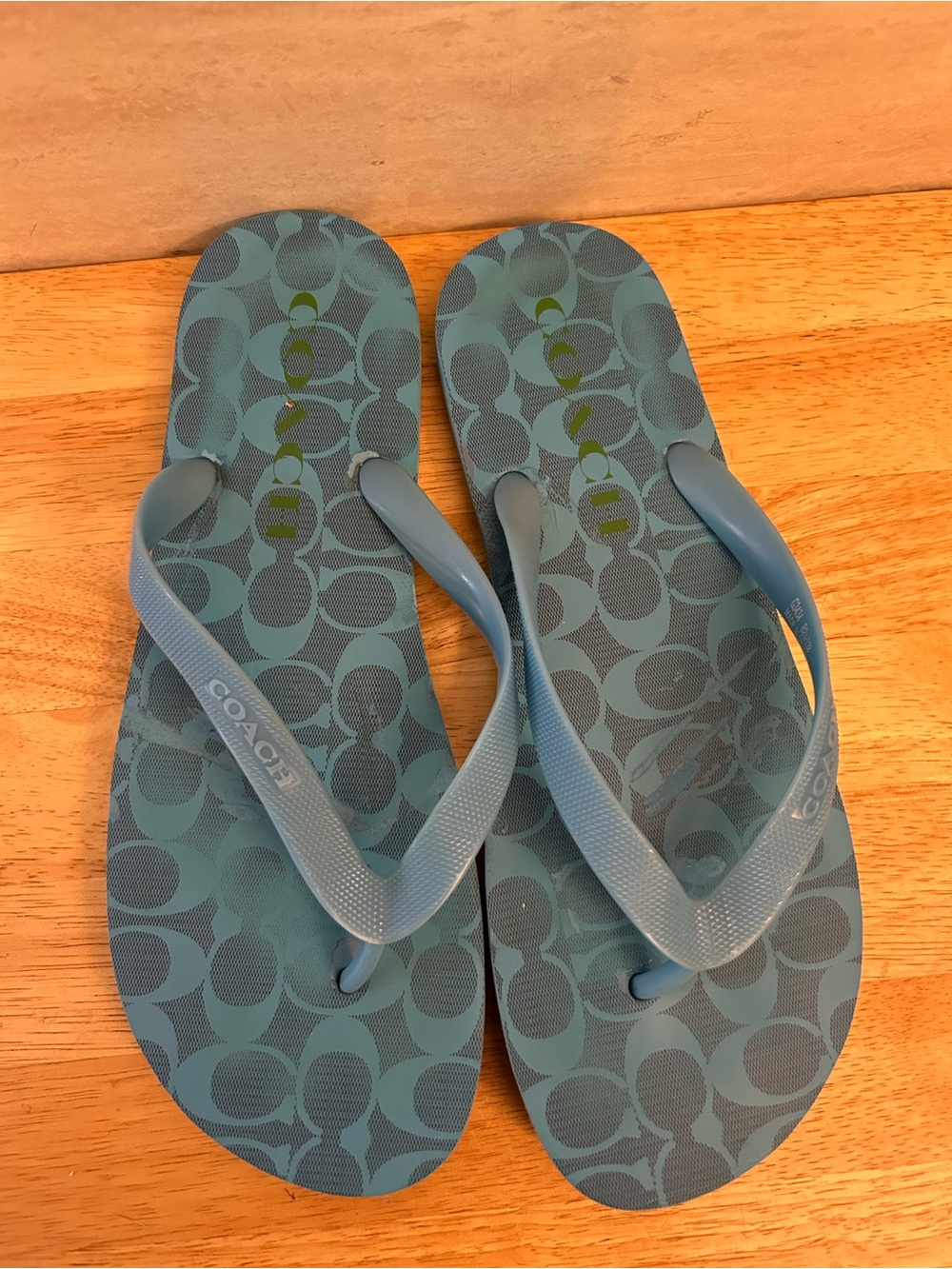 COACH Zak Flip Flops in the
"Parrot Blue" colorway.
